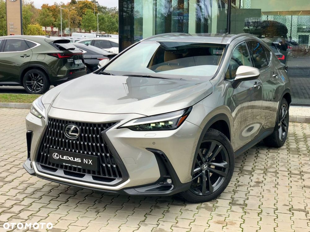 Lexus NX - 10