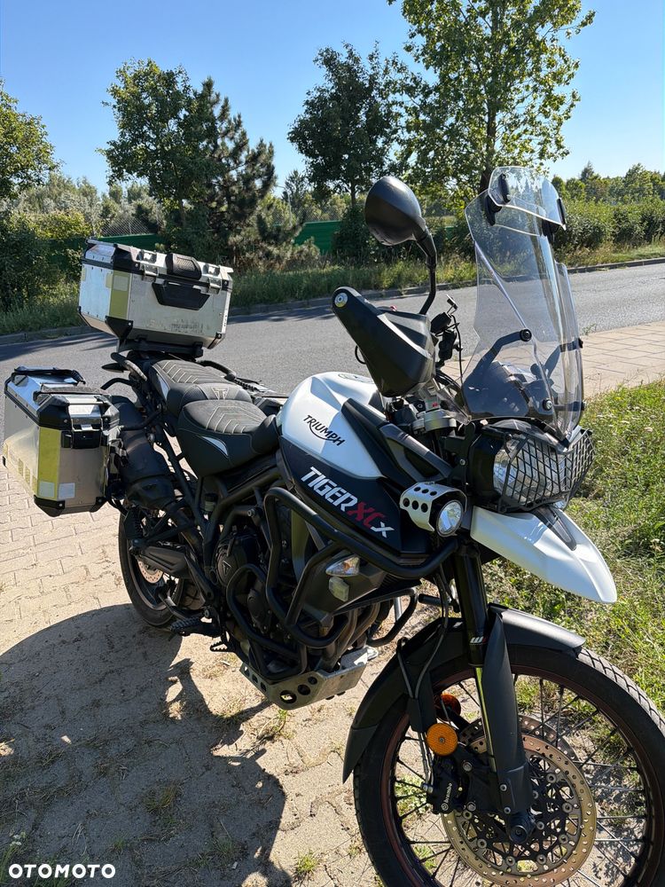 Triumph Tiger - 1