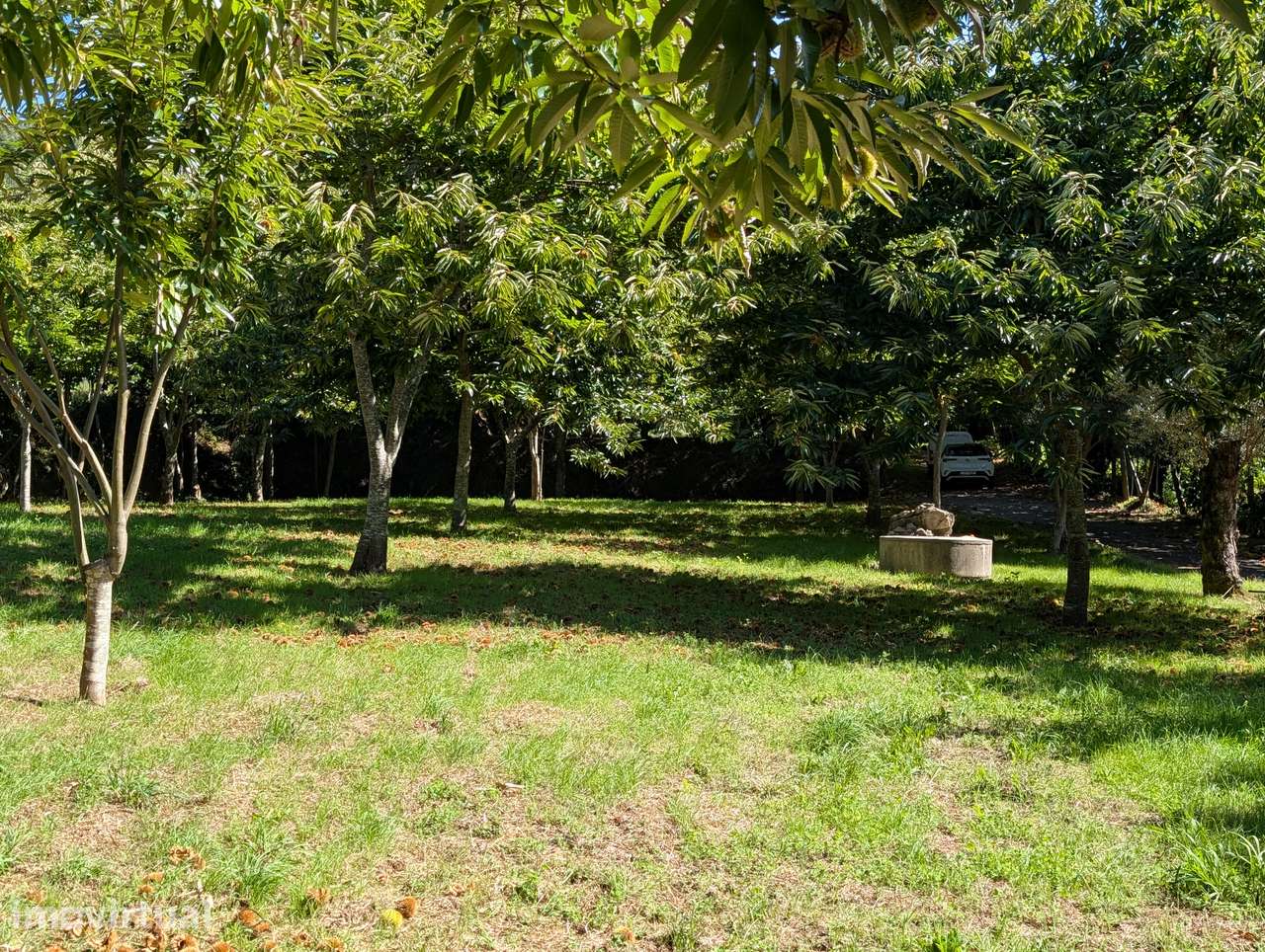 Terreno para construção Facha, Ponte de Lima - Grande imagem: 4/7
