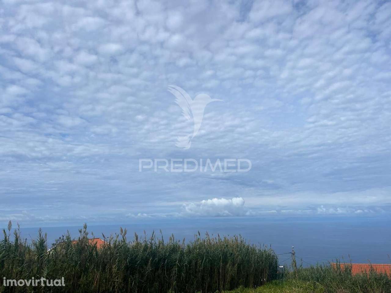 TERRENO COM 1.000 M2 NA PONTA DO PARGO - Grande imagem: 4/5