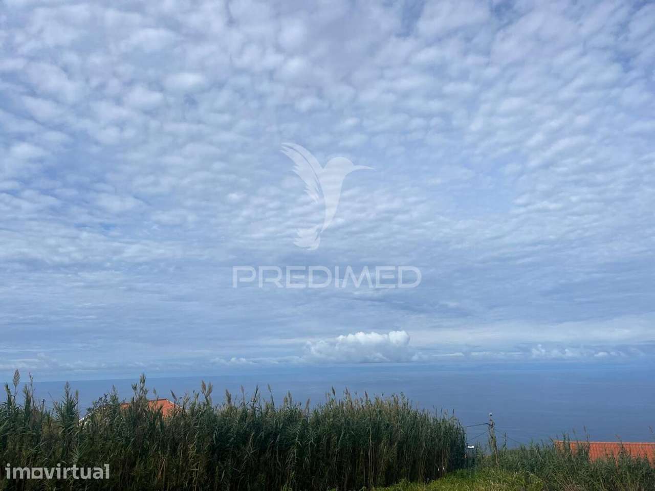 TERRENO COM 1.000 M2 NA PONTA DO PARGO - Grande imagem: 4/5