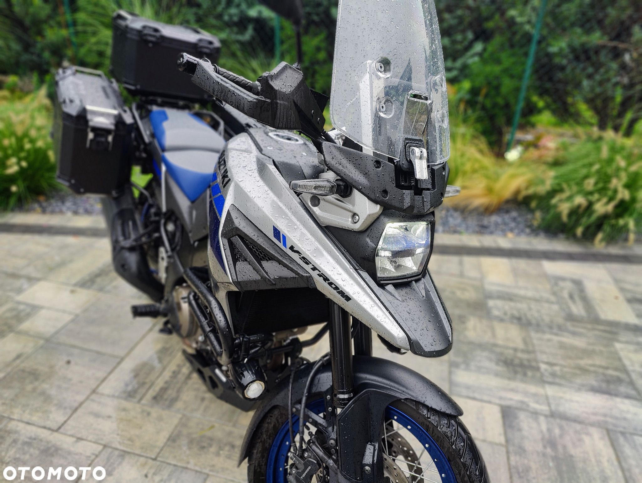 Suzuki DL - 15
