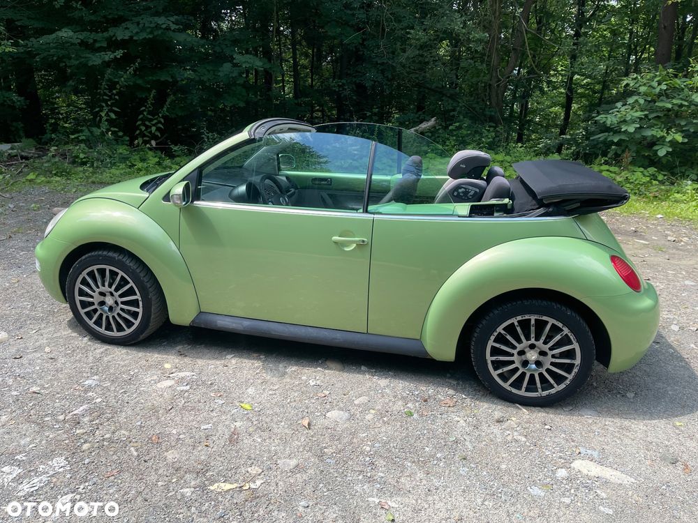 Volkswagen Beetle - 8
