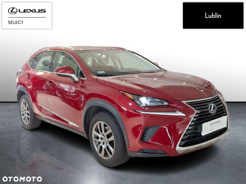 Lexus NX 300h Elegance AWD - 7