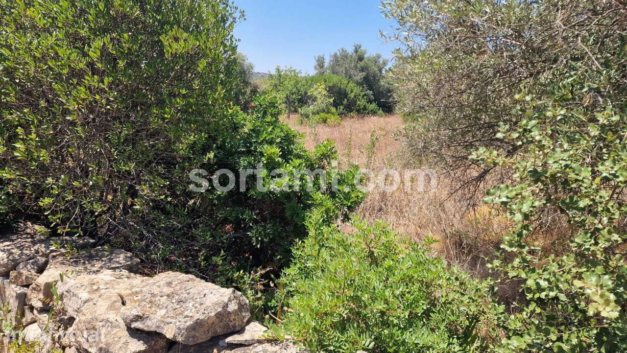 Terreno Para Construção  Venda em Santa Bárbara de Nexe,Faro - Grande imagem: 3/12