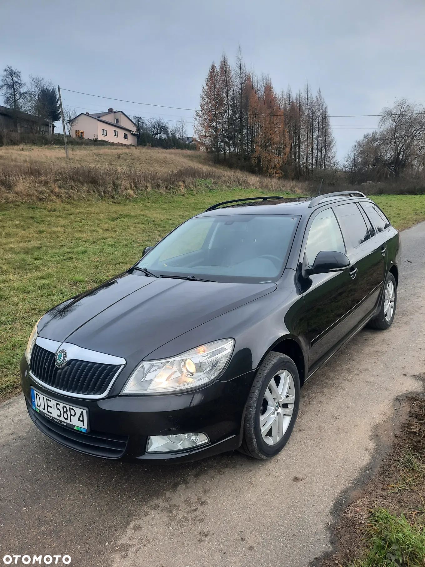 Skoda Octavia 1.6 TDI 4x4 Elegance - 1