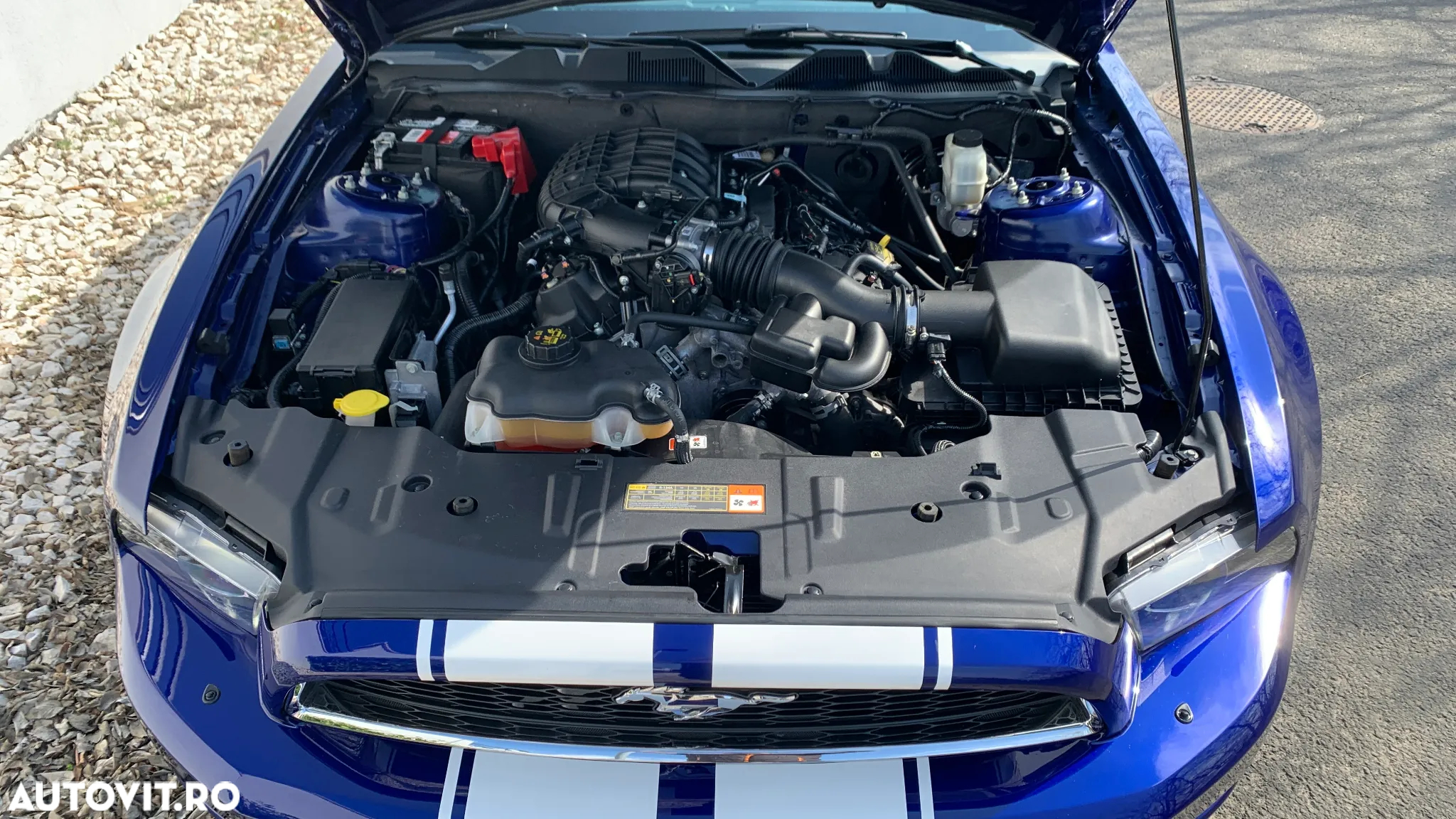 Ford Mustang - 30