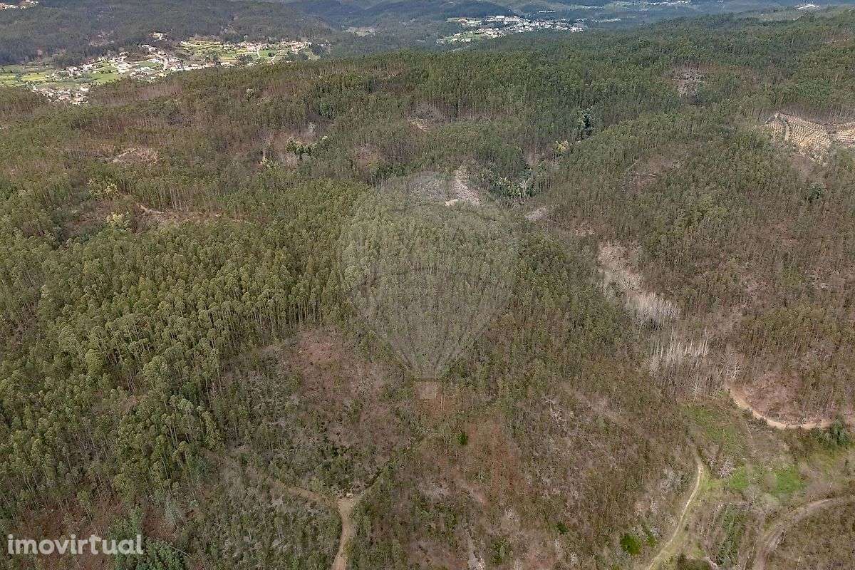 Terreno  para venda - Grande imagem: 5/9