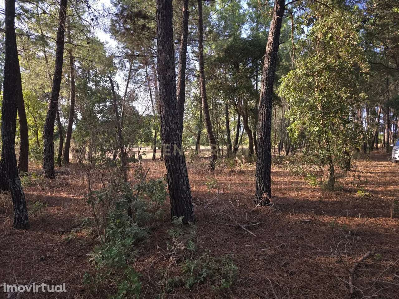 Terreno Rústico em Satão, Soalheira, Fundão, Potencial Único - Grande imagem: 3/13