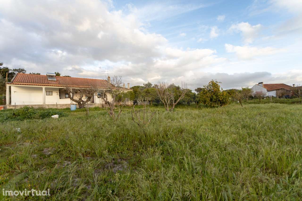 Moradia Térrea V3 com terreno urbano de 3780m2 no Alentejo - Grande imagem: 5/47