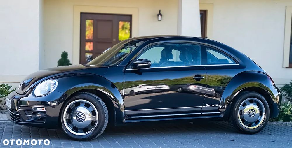 Volkswagen Beetle - 6
