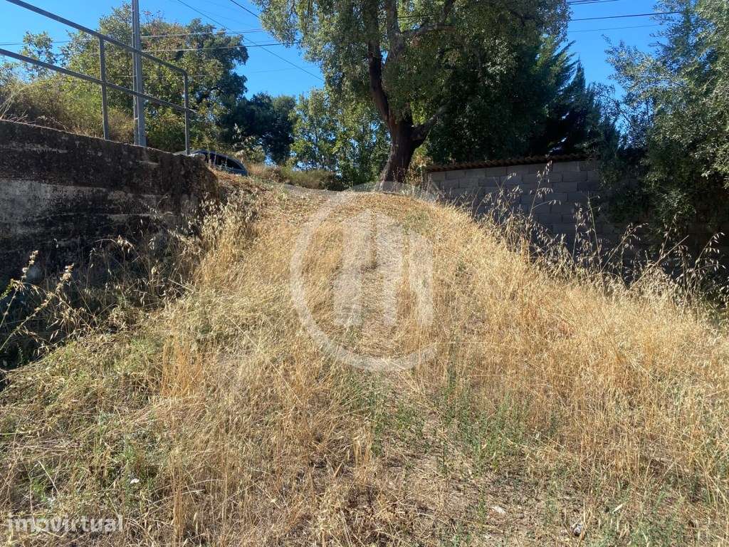 Terreno Rústico com 2866 m² e 40 Oliveiras - Aldeia de Joanes - Grande imagem: 3/3