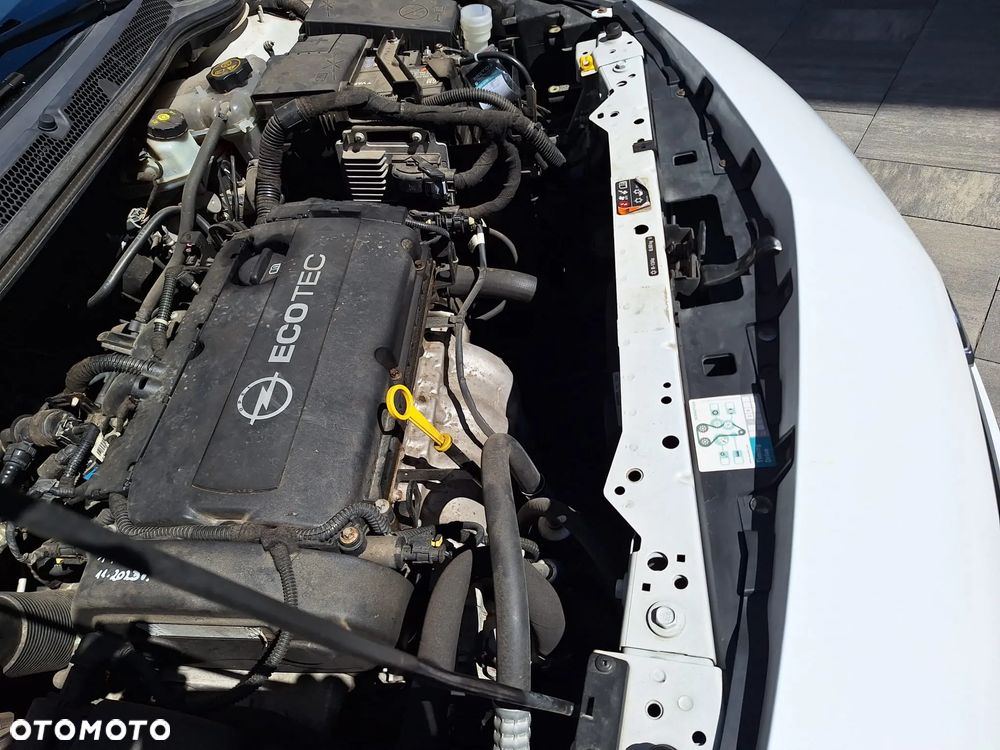 Seat Ibiza - 23