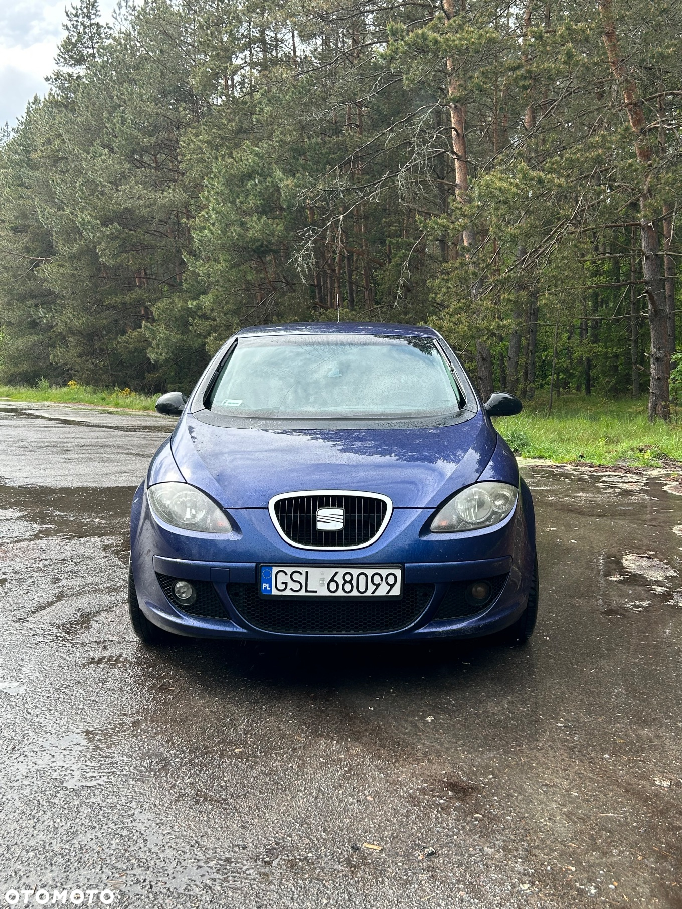 Seat Altea - 7