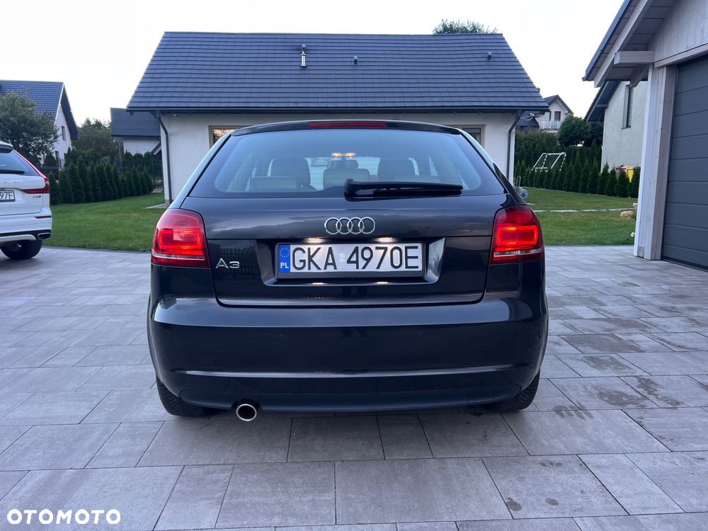 Audi A3 3-drzwiowe - 22
