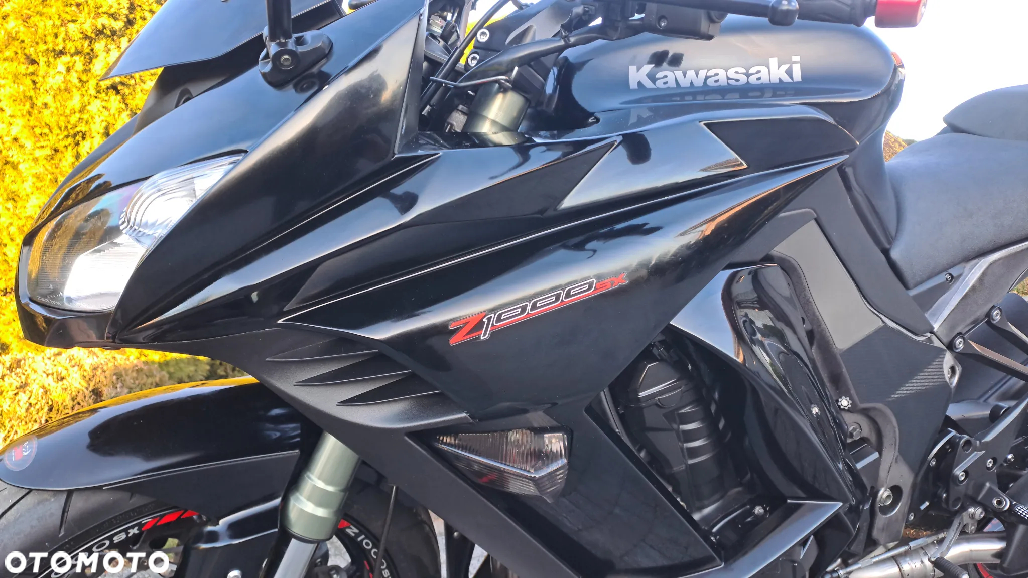 Kawasaki Z - 31