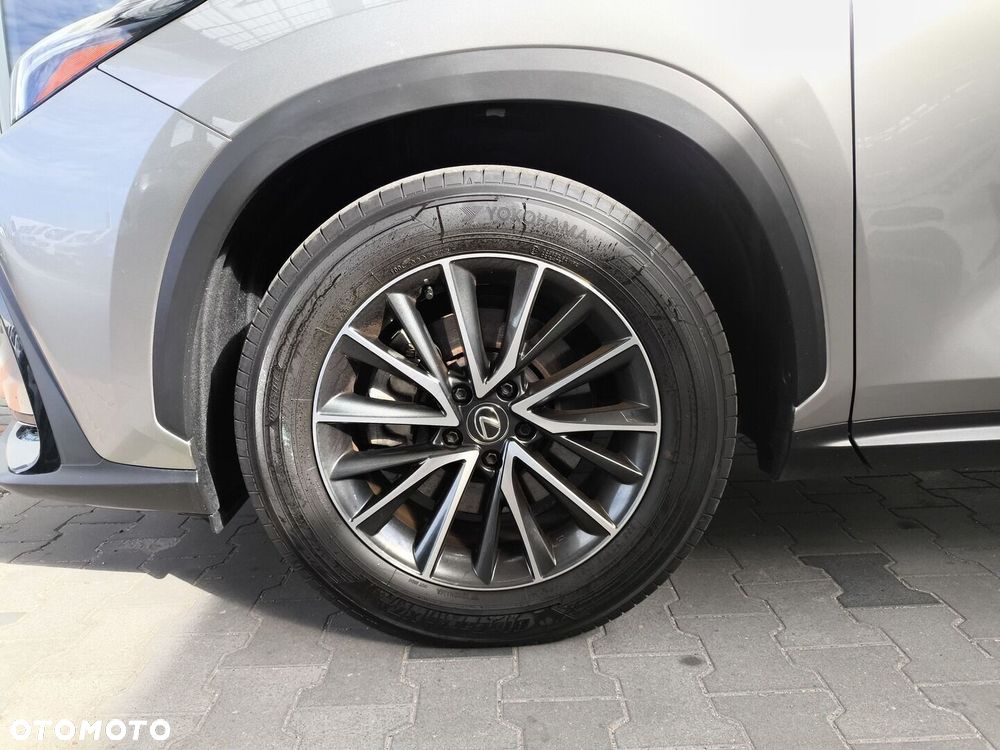 Lexus NX 350h Business AWD - 16