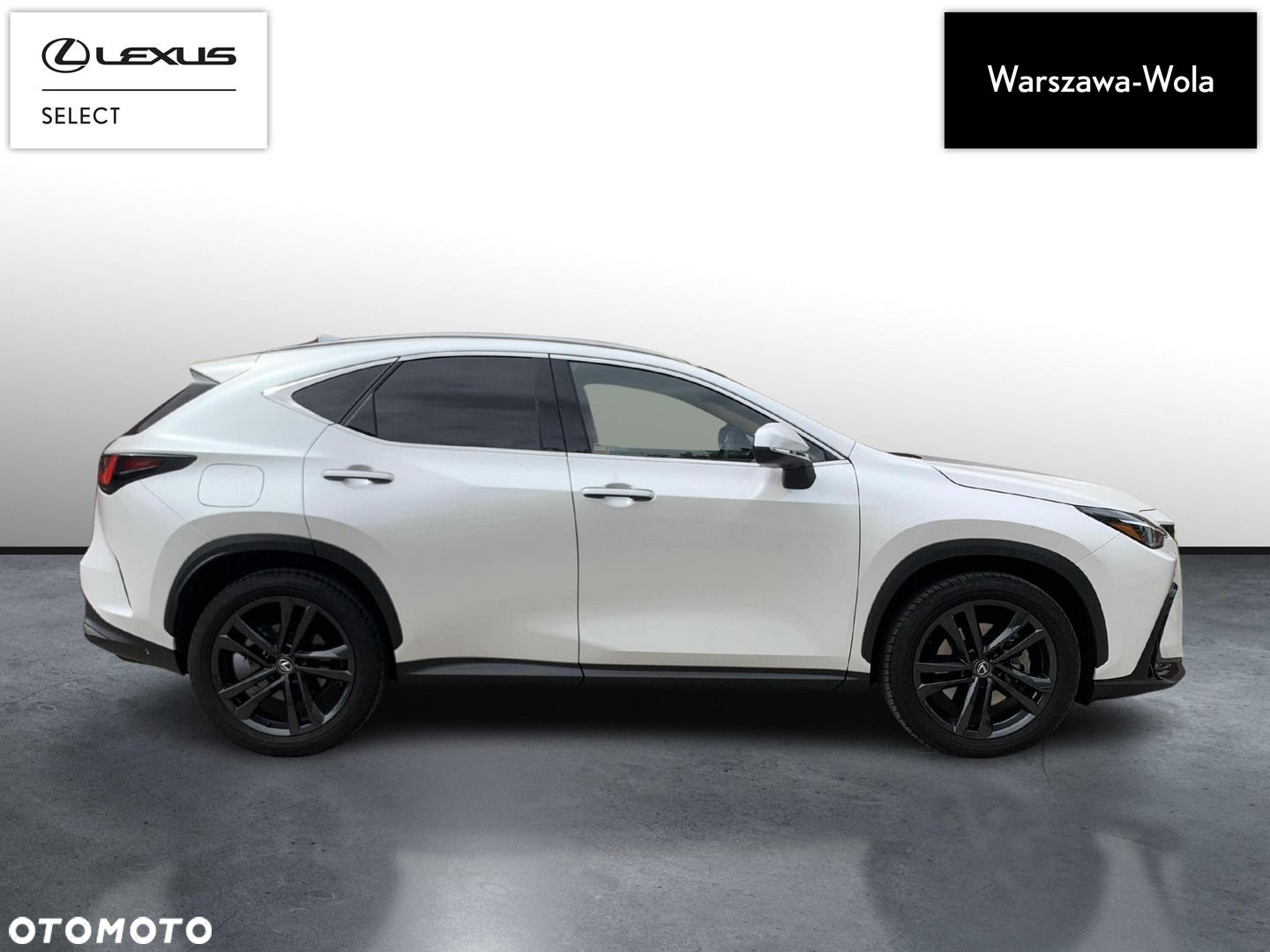 Lexus NX - 8