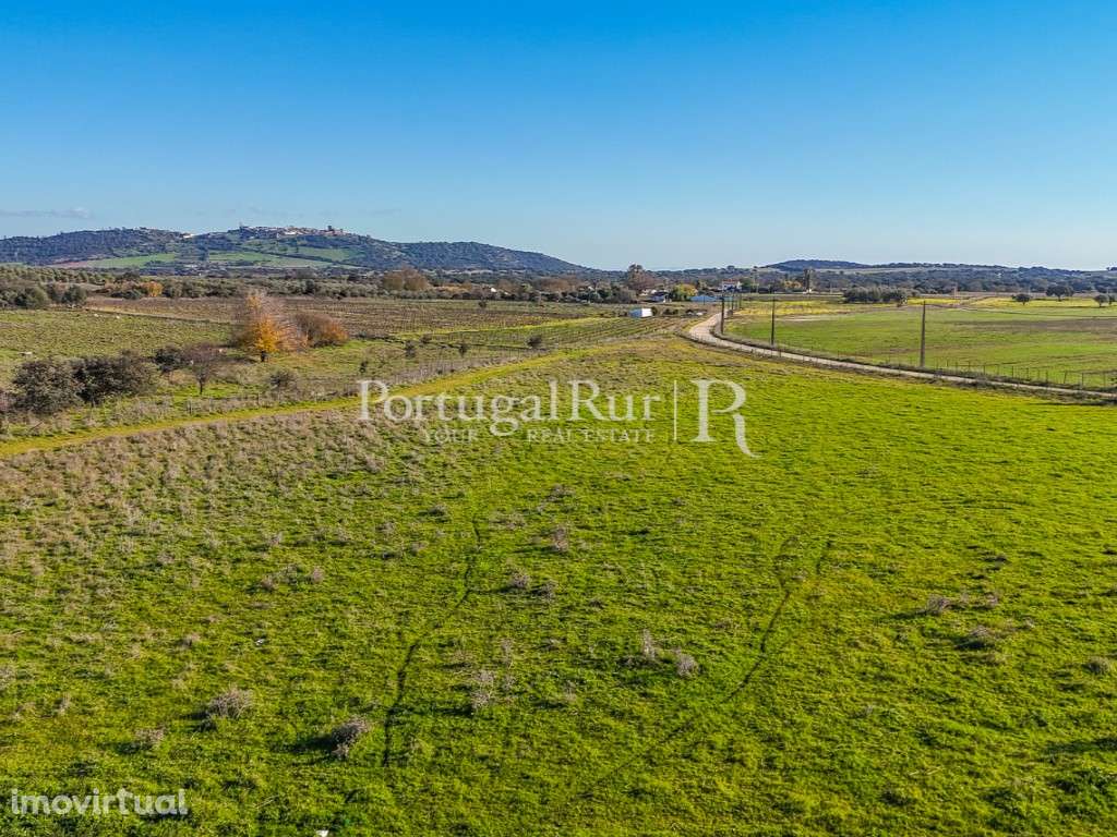 Terreno apto a Alojamento Local - Grande imagem: 3/8