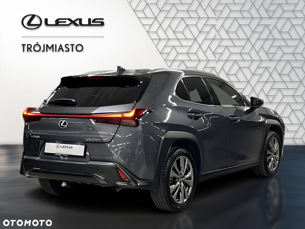 Lexus UX 250h GPF F Sport Design 2WD - 6