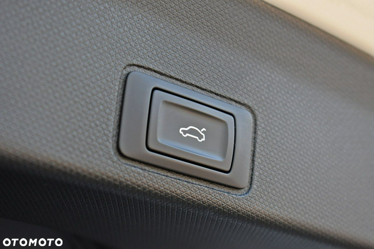 Cupra Terramar - 33