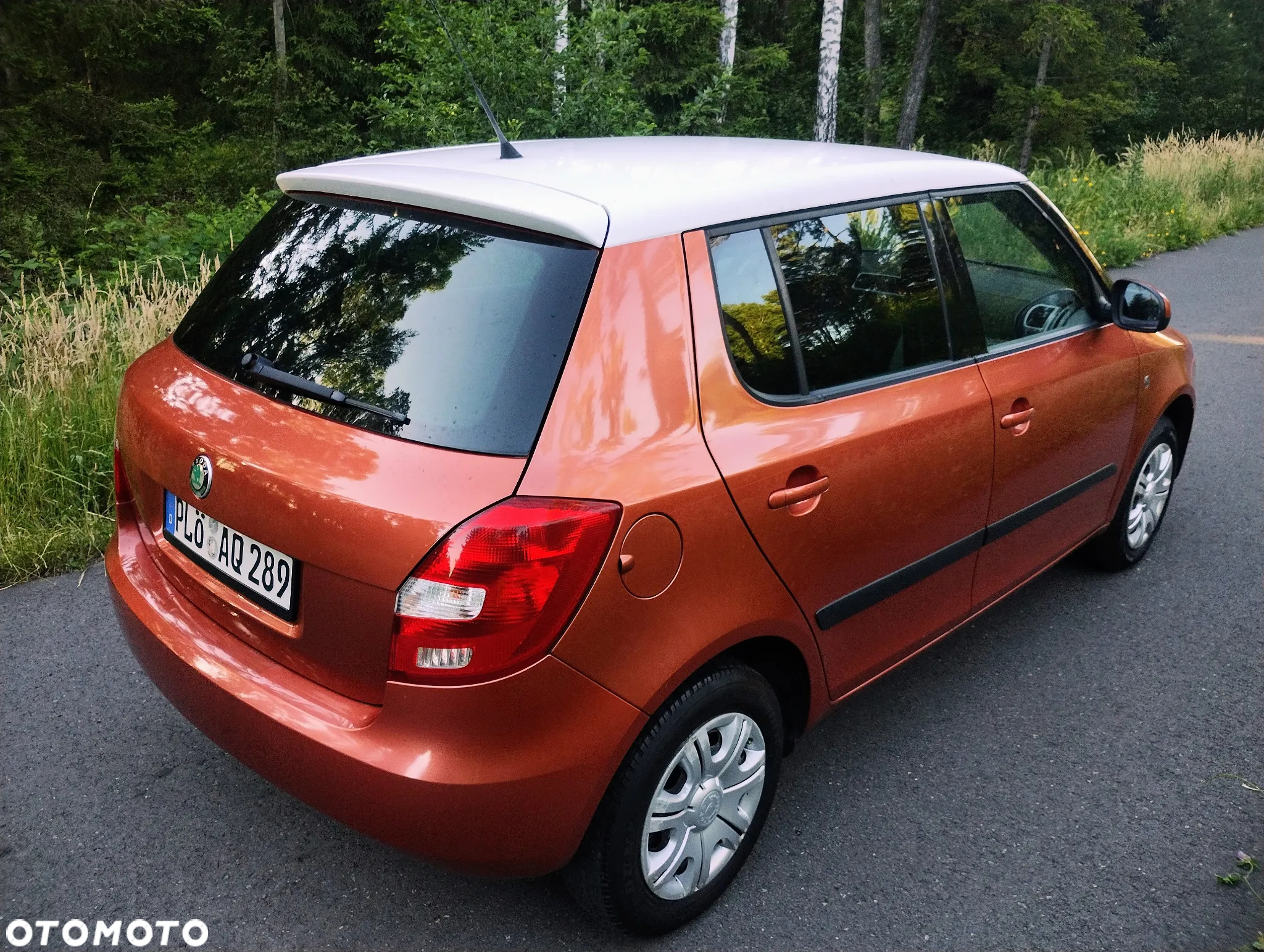 Skoda Fabia - 13
