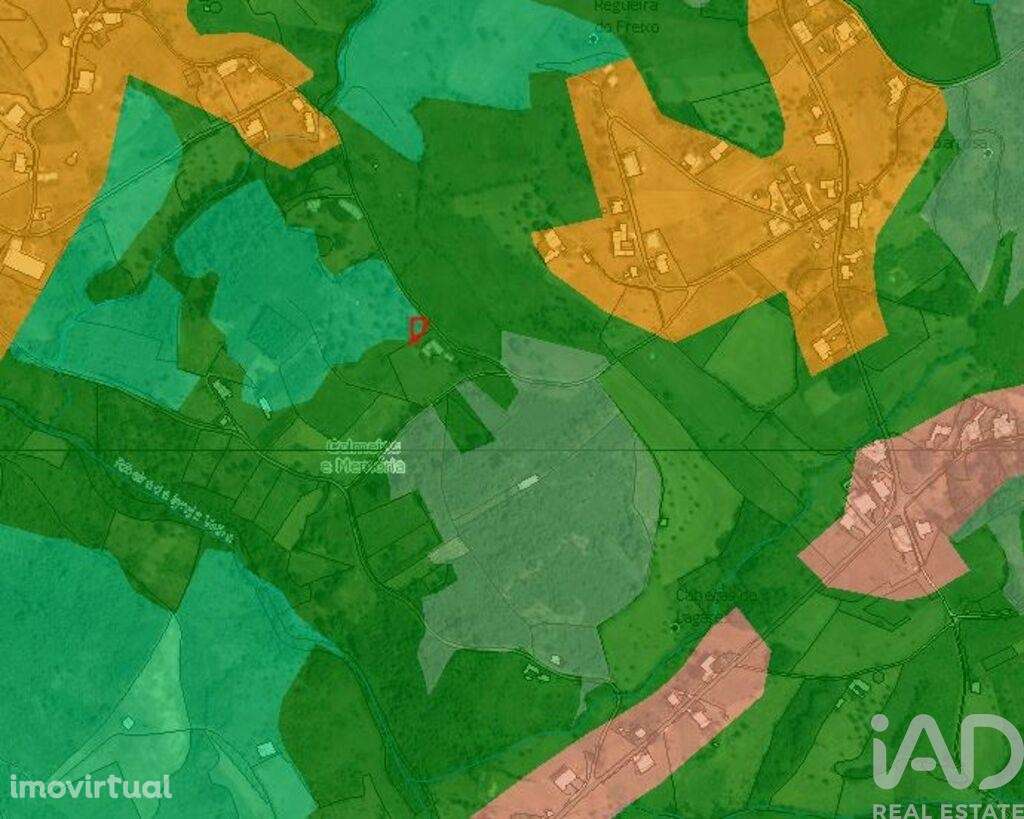 Terreno Agrícola em Colmeias e Memória - Grande imagem: 2/5