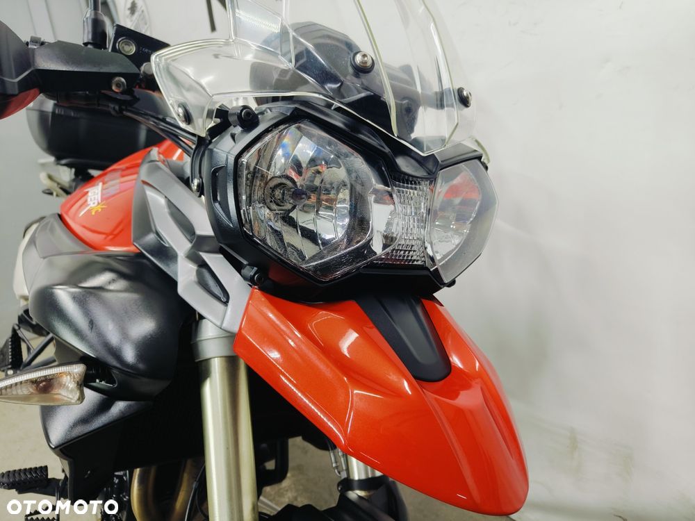 Triumph Tiger - 4
