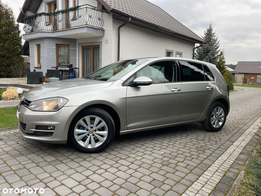 Volkswagen Golf 1.6 TDI BlueMotion Trendline - 19