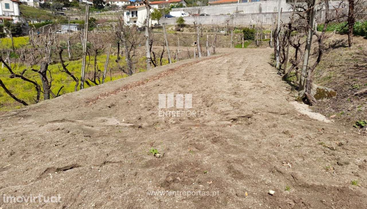 Venda Terreno, Fregim, Amarante - Grande imagem: 4/40