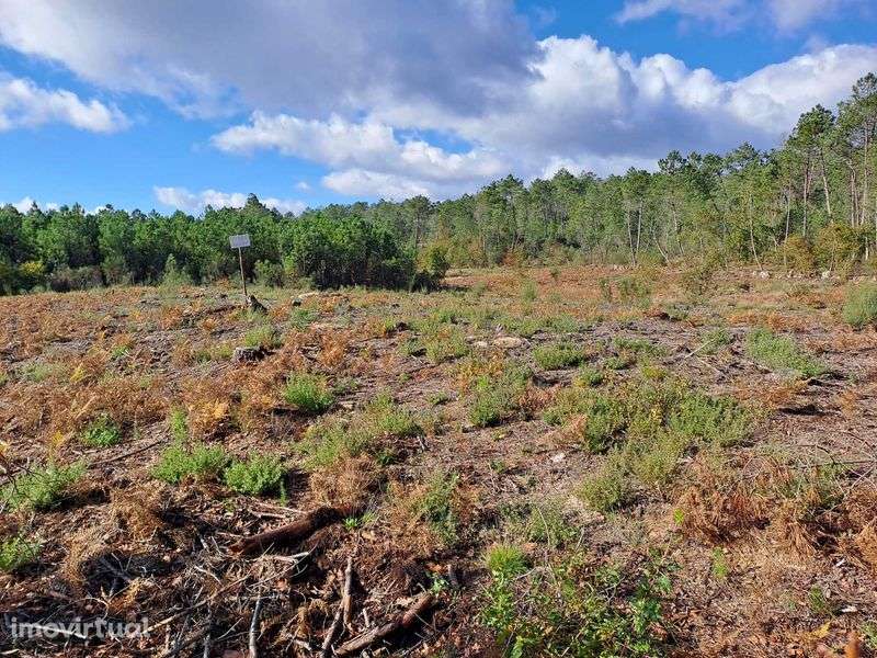 Vendo terreno de pinhal em Decermilo, Sátão, Viseu - Grande imagem: 2/4