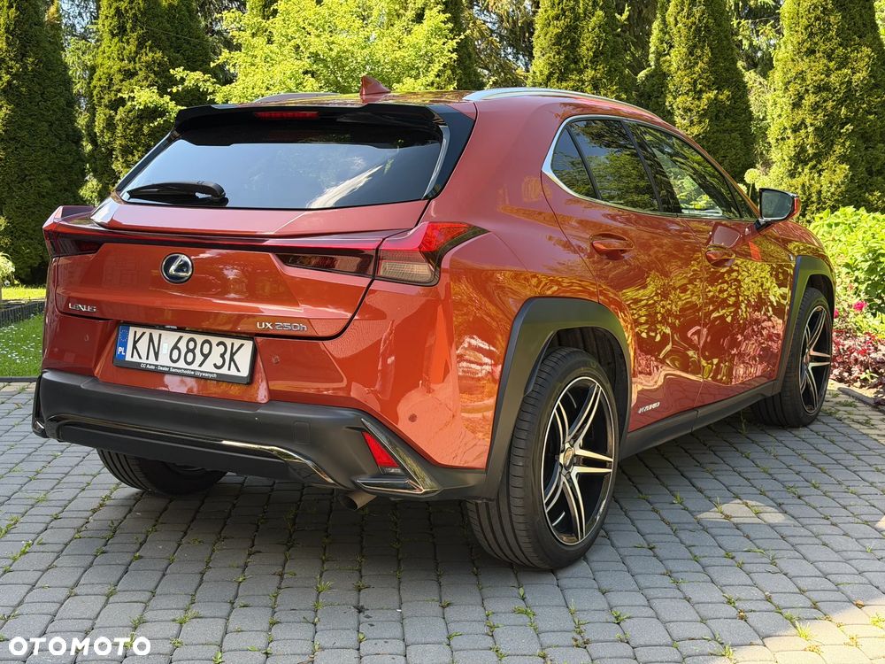 Lexus UX 250h GPF F Sport AWD - 22