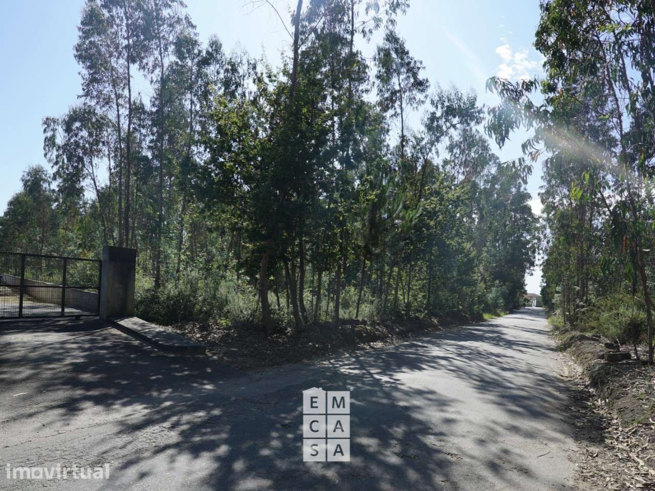 Armazém  Venda em Oliveira de Azeméis, Santiago de Riba-Ul, Ul, Macinh - Grande imagem: 3/15