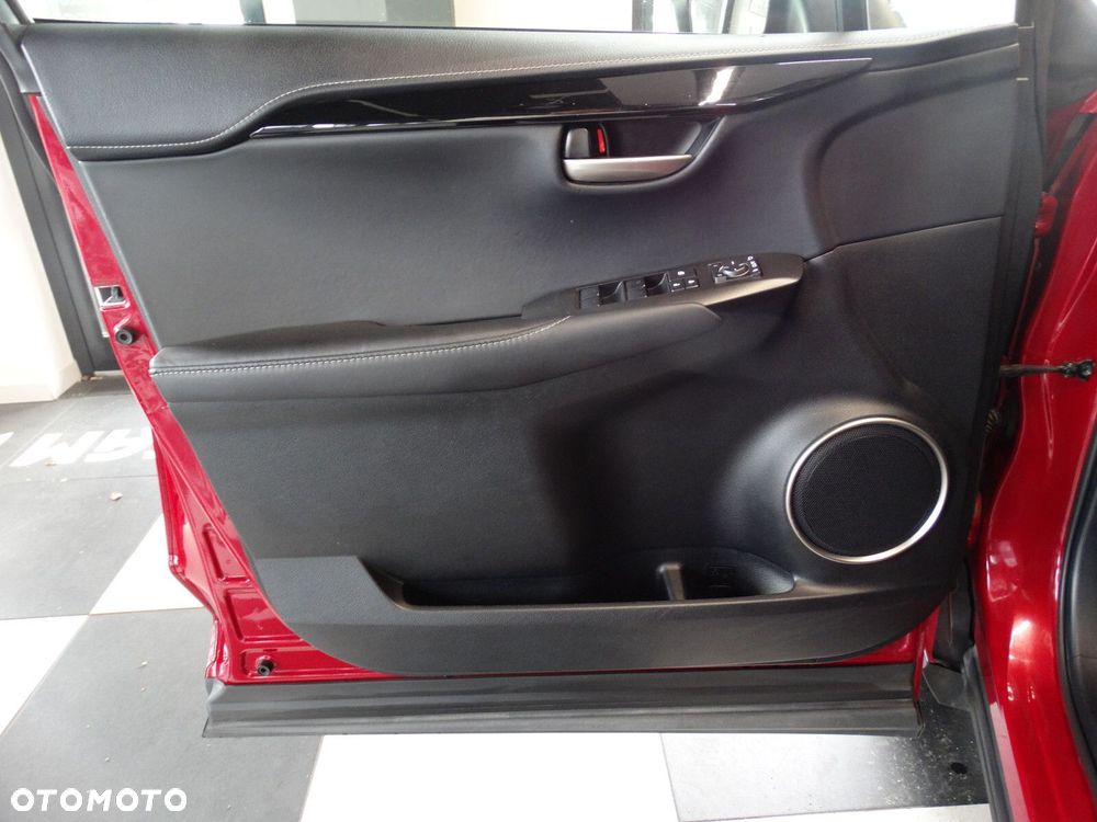 Lexus NX - 18