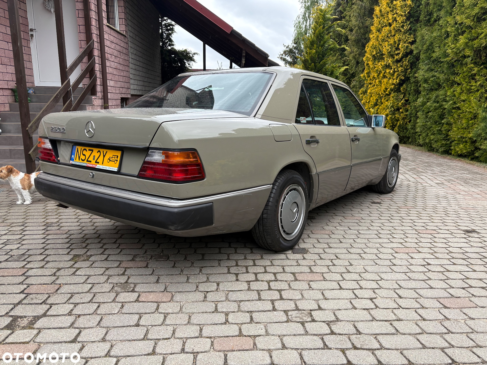 Mercedes-Benz W124 (1984-1993) - 4