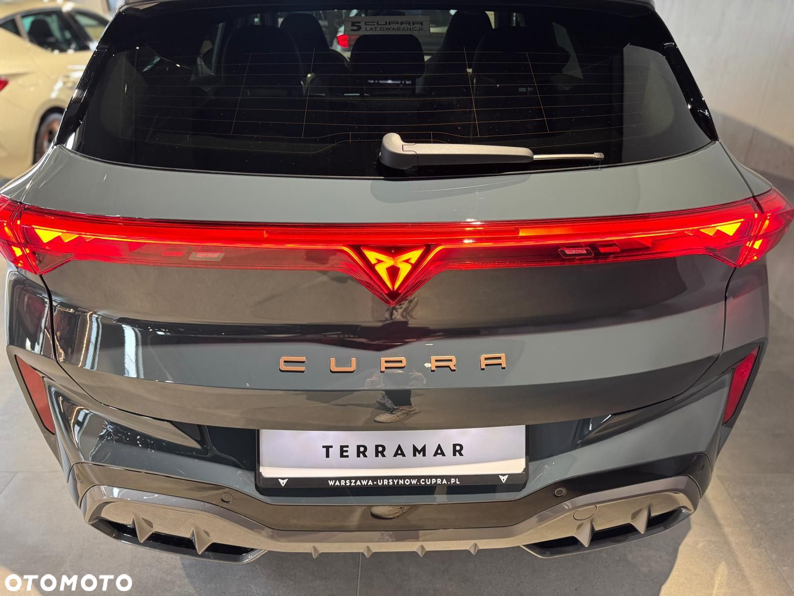 Cupra Terramar - 6