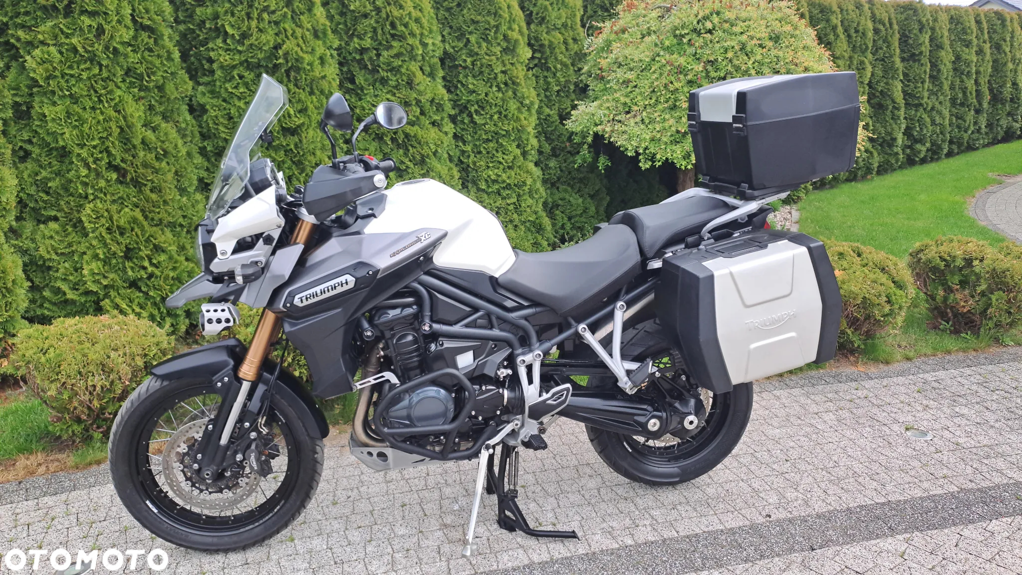 Triumph Tiger - 35