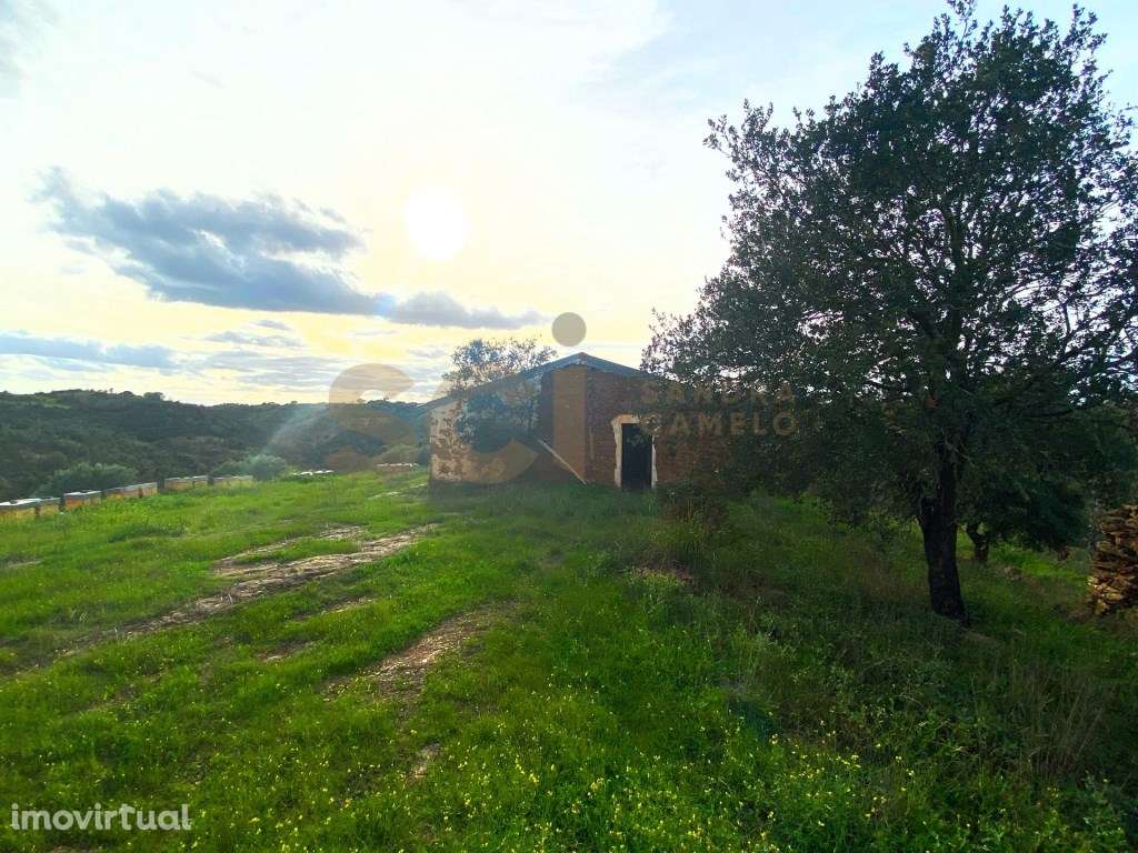 Quinta Isolada no Alentejo, para recuperar, com vista desafogada e ... - Grande imagem: 2/56
