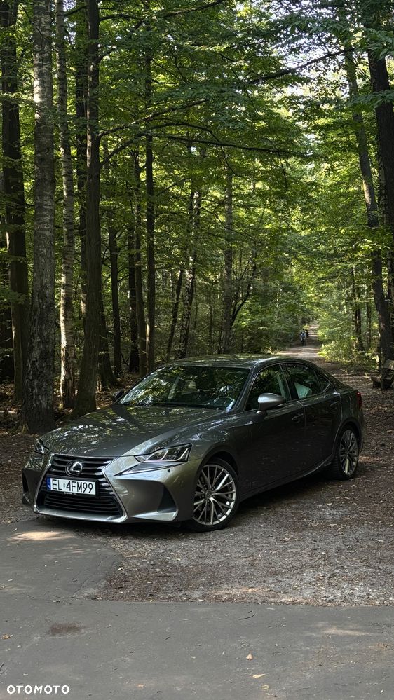Lexus IS Executive Line - 4
