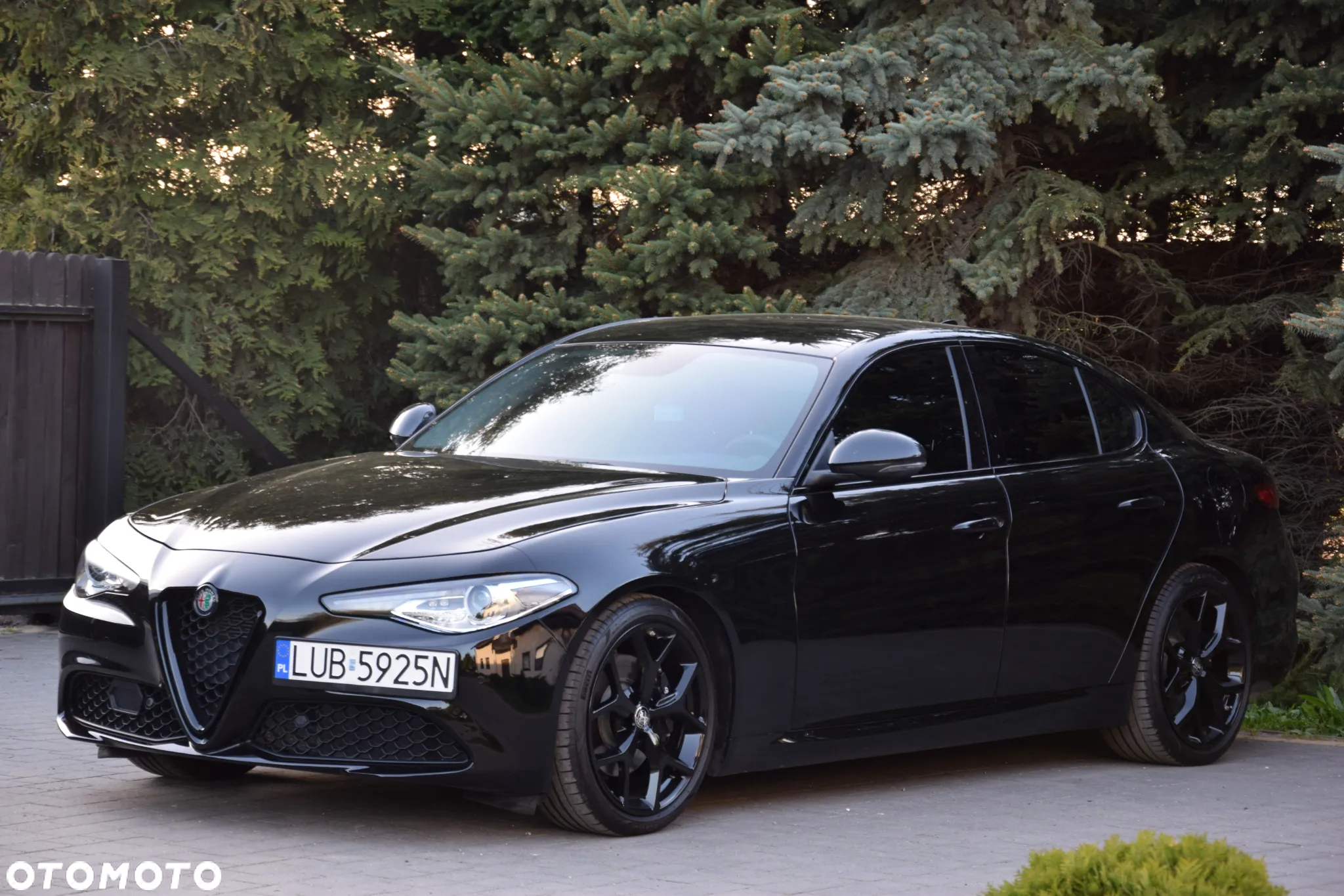 Alfa Romeo Giulia 2.0 Turbo 16V AT8 Veloce - 3