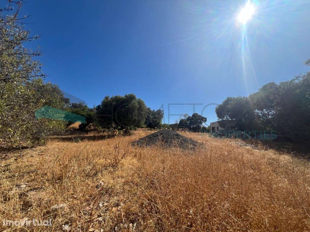 Terreno com projeto aprovado - Goncinha - Grande imagem: 5/10