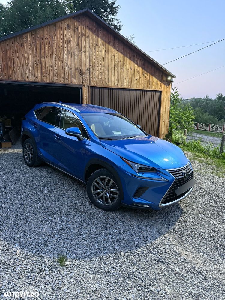 Lexus Seria NX 300h AWD Executive Plus - 5