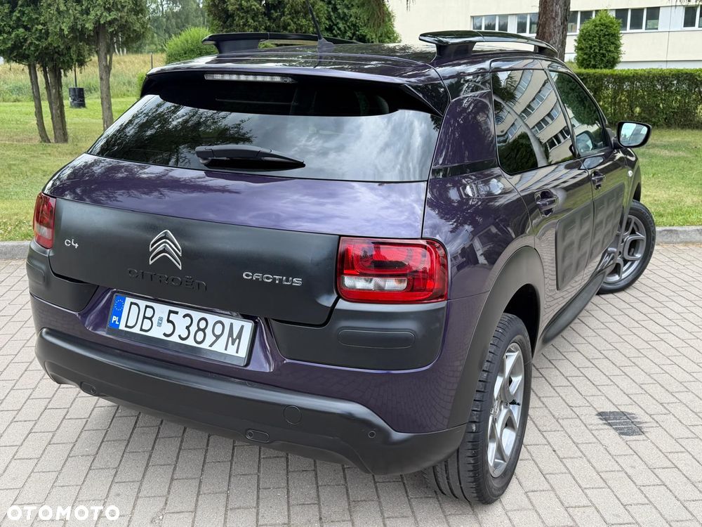 Citroën C4 Cactus PureTech 110 Stop&Start Origins - 19