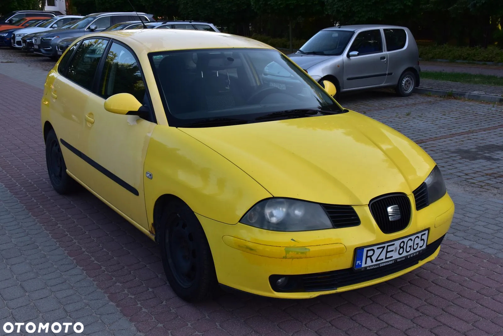 Seat Ibiza 1.9 TDI Sport - 4