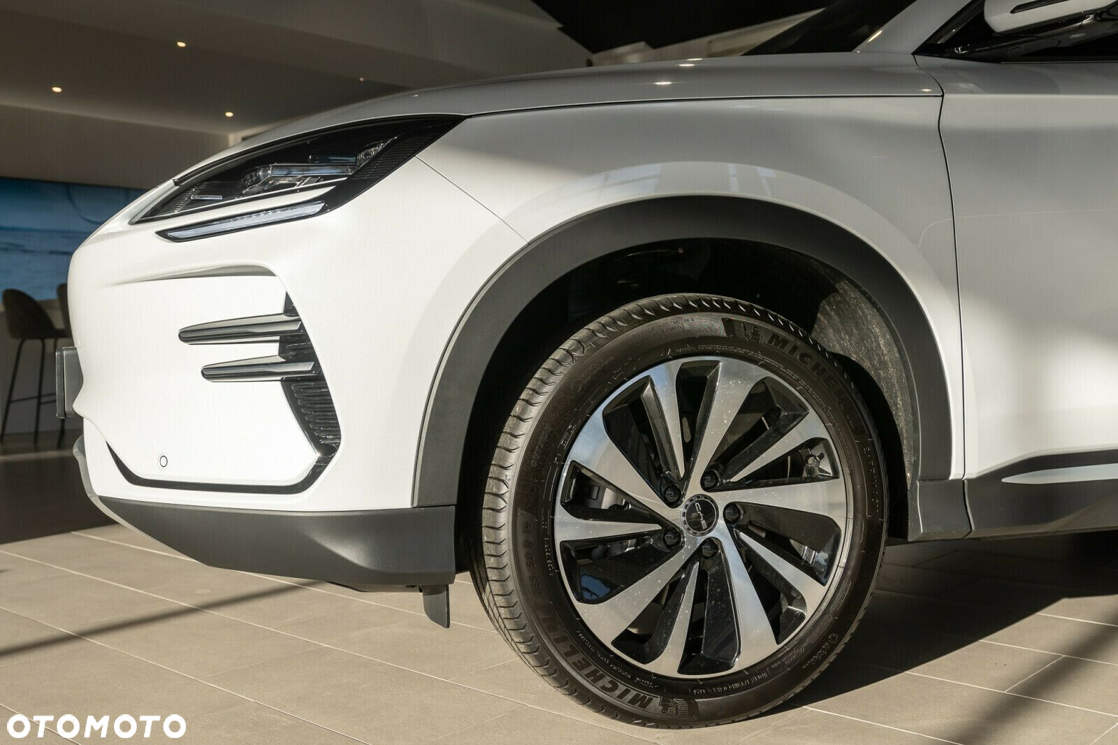 BYD Seal U - 6