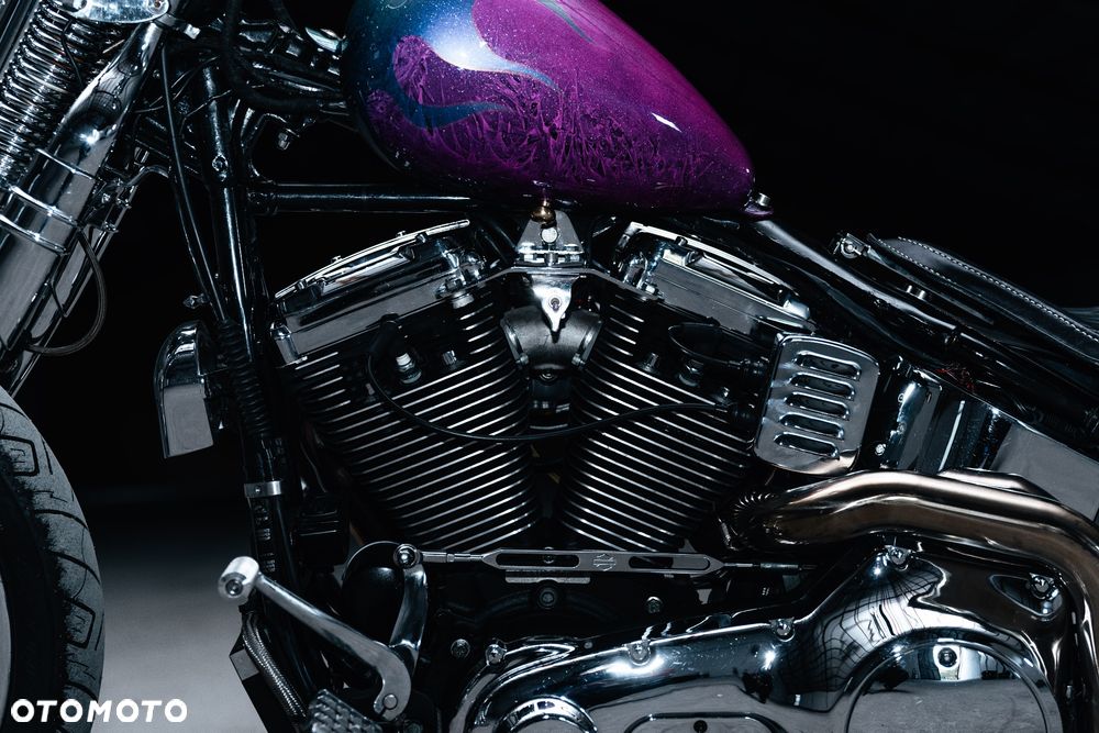 Harley-Davidson Softail Springer Classic - 19