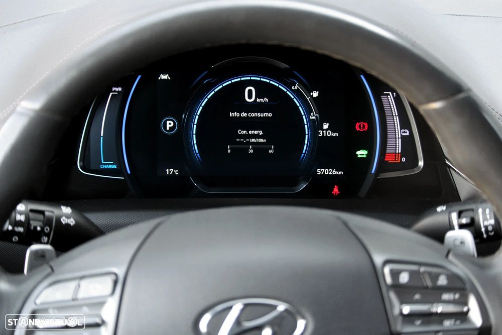 Hyundai Ioniq 38kWh Pack Pele - 28