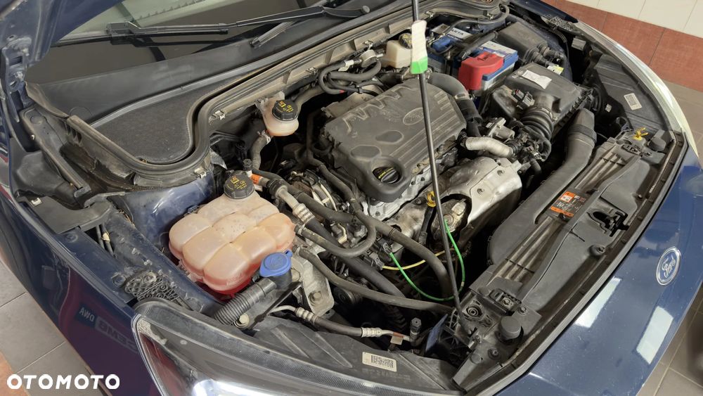 Ford Focus - 18