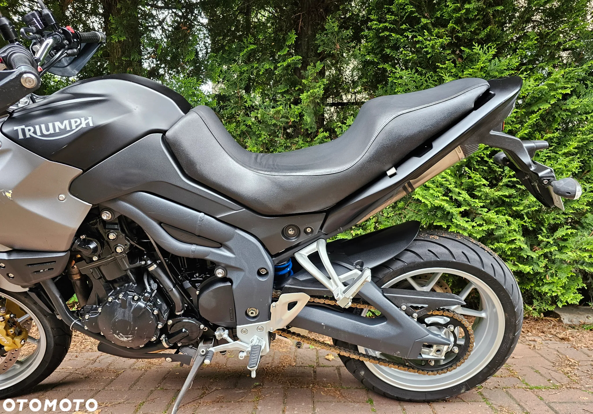 Triumph Tiger - 20