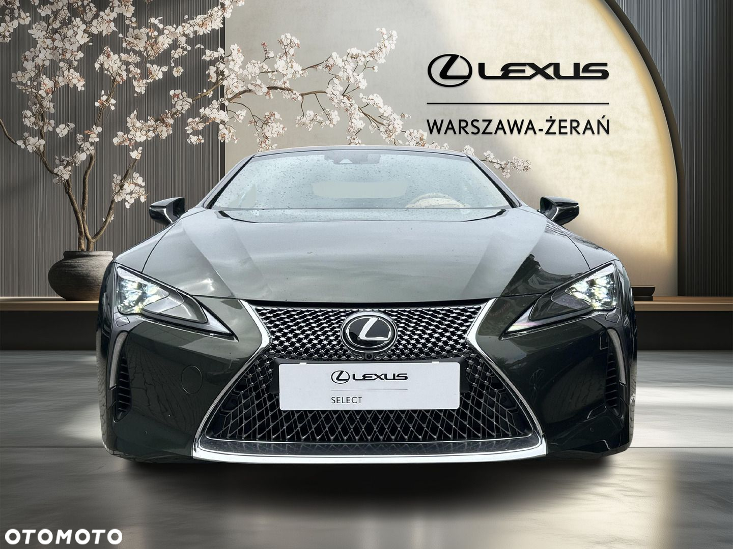 Lexus LC 500 Superturismo - 10